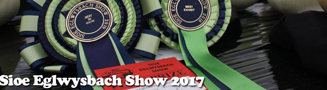 Sioe Eglwysbach Show 2017