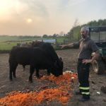 Meet Steve, Delivery Driver & Farmer Extraordinaire