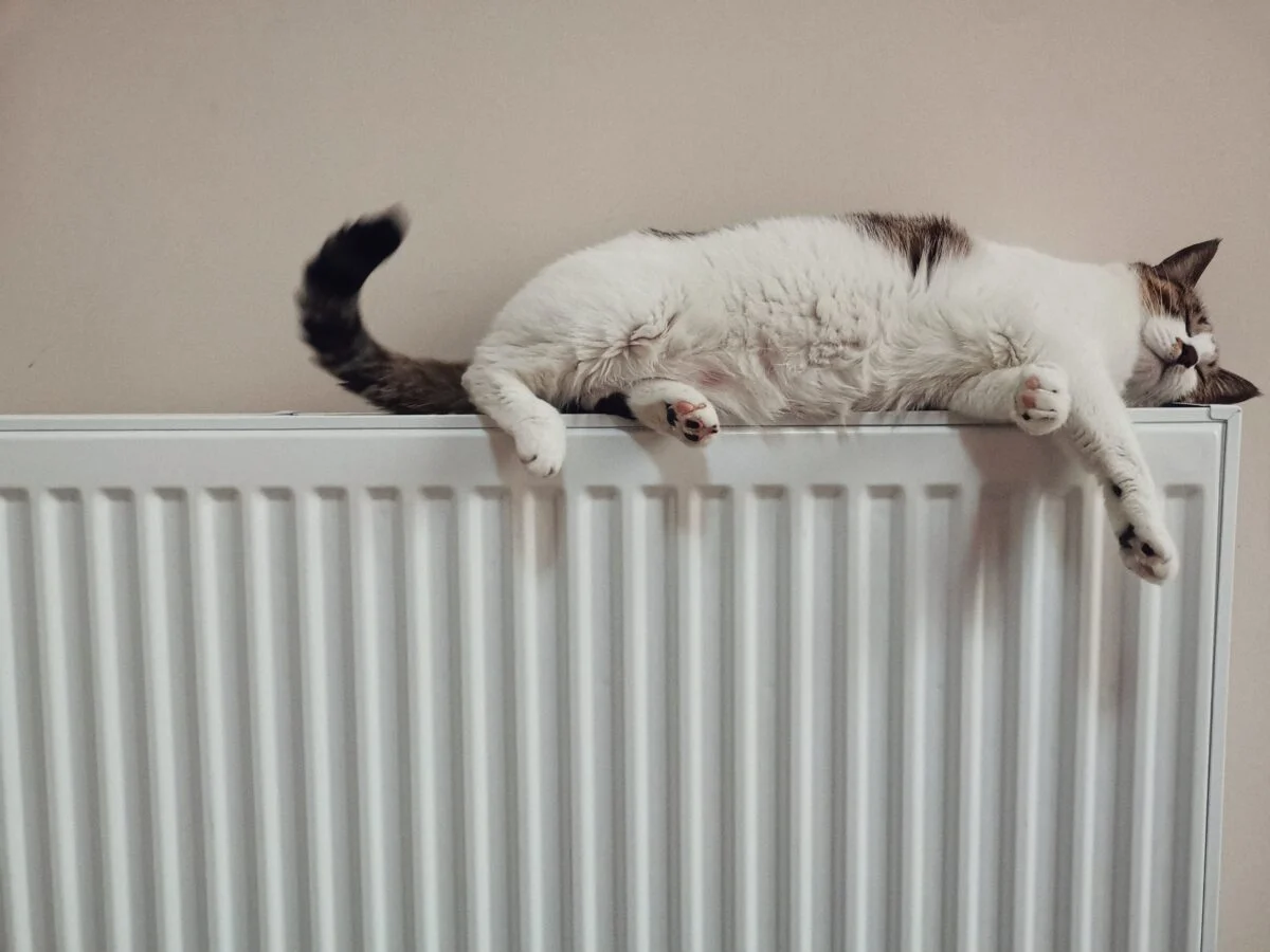 How Often Should I Refill My Heating Oil Tank?