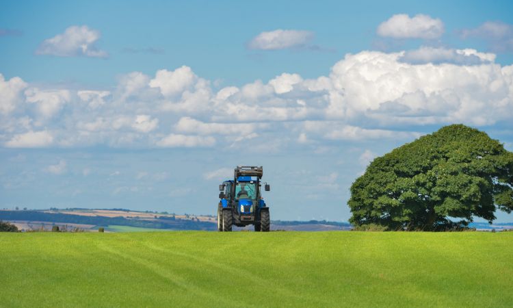 farming