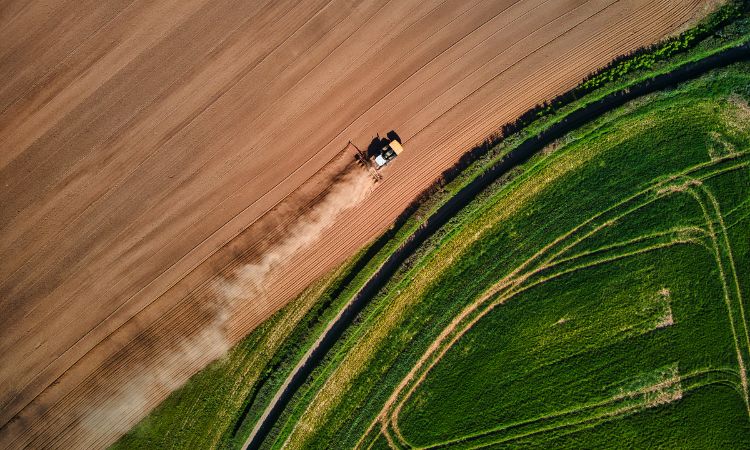 agricultural farming