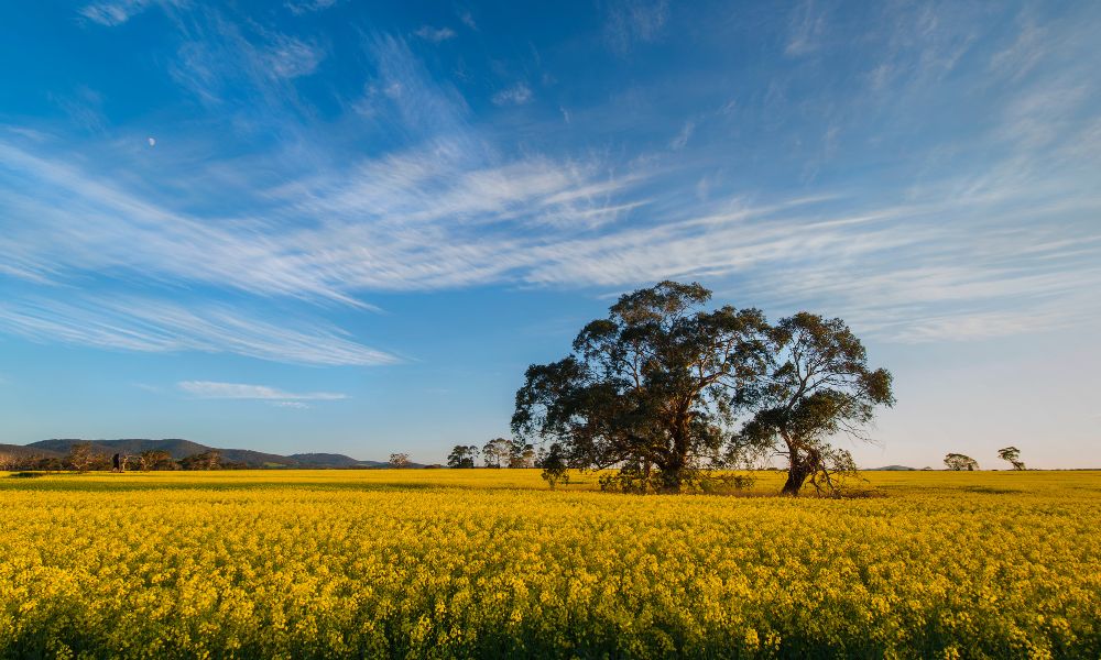 Top Tips for Managing Fuel Deliveries on Your Farm
